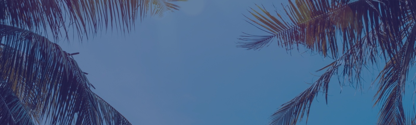 Palm fronds and clear blue sky